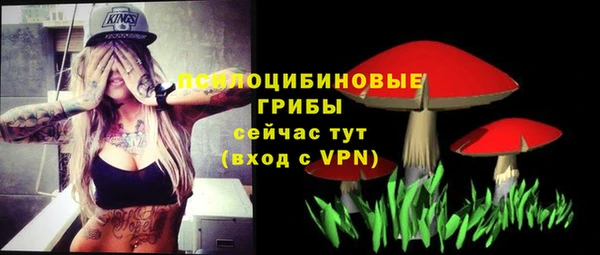 ALPHA-PVP Ельня