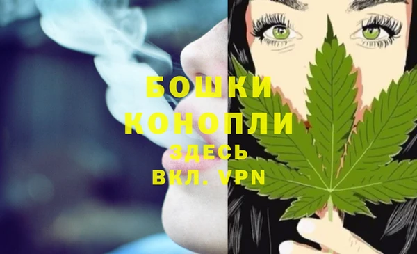 соль ск Заводоуковск