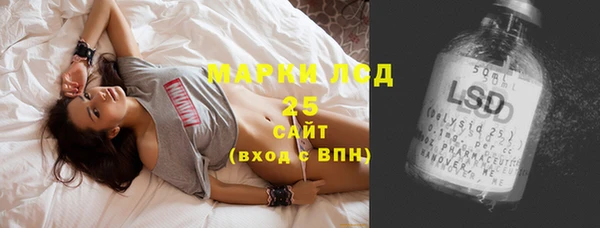 прущие грибы Елабуга