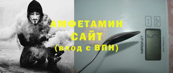 прущие грибы Елабуга