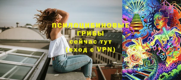 бошки Лиски