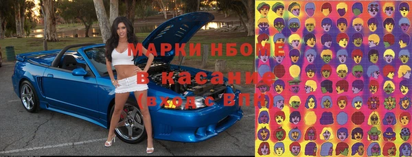 прущие грибы Лихославль