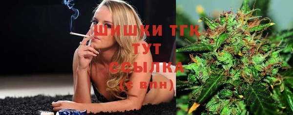 прущие грибы Елабуга