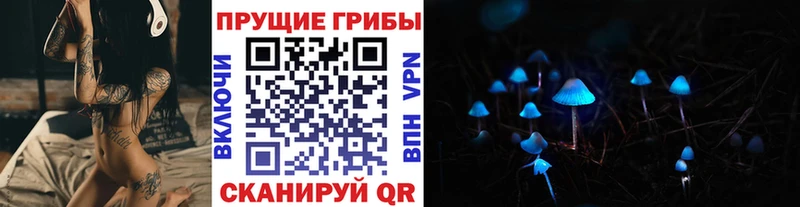Купить  Игарка  Псилоцибиновые грибы Magic Shrooms 